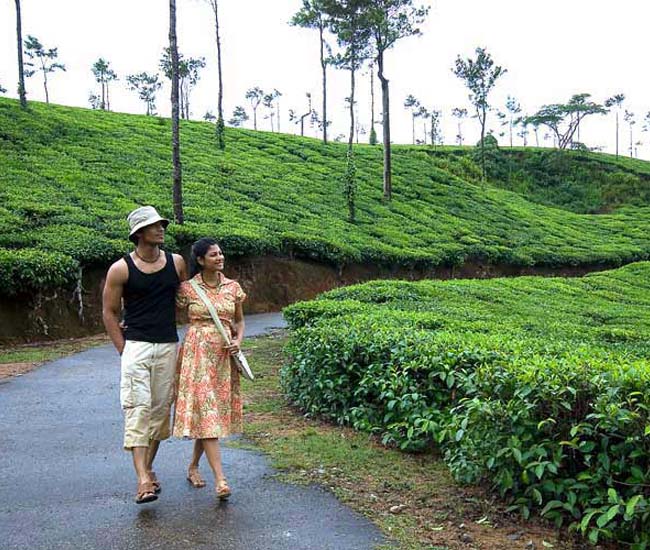 honeymoon-tours-coorg