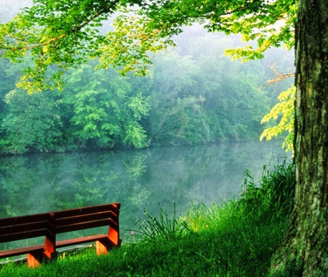 kerala-roundtrip-tours