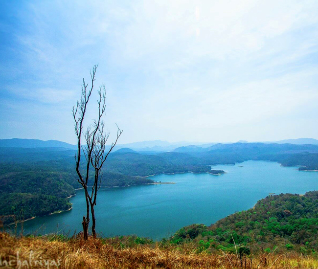 kuttikanam-tours