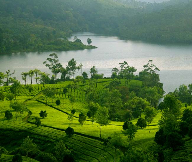 munnar-tours