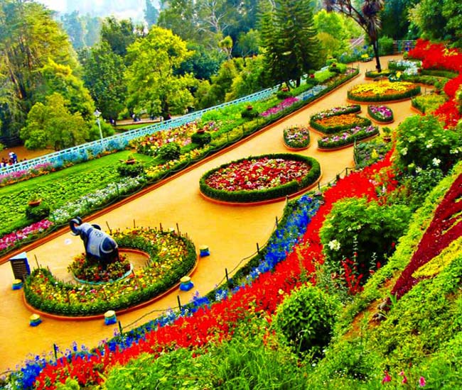 ooty tours