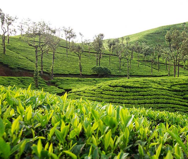 valparai-tours
